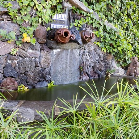 Casa Los Grabados, Piscina, Vistas, Barbacoa Y Zen Icod de los Vinos Kültér fotó